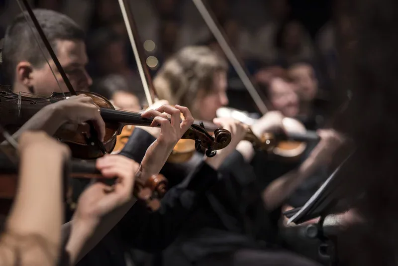 Musicians playing in an orchestra at a venue near Pleasant Hill.
